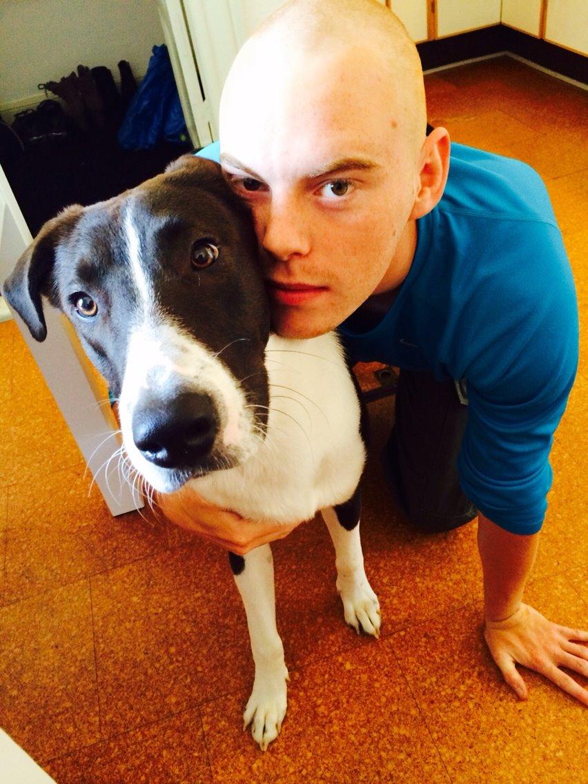 Blanding af racer Kato billede 2