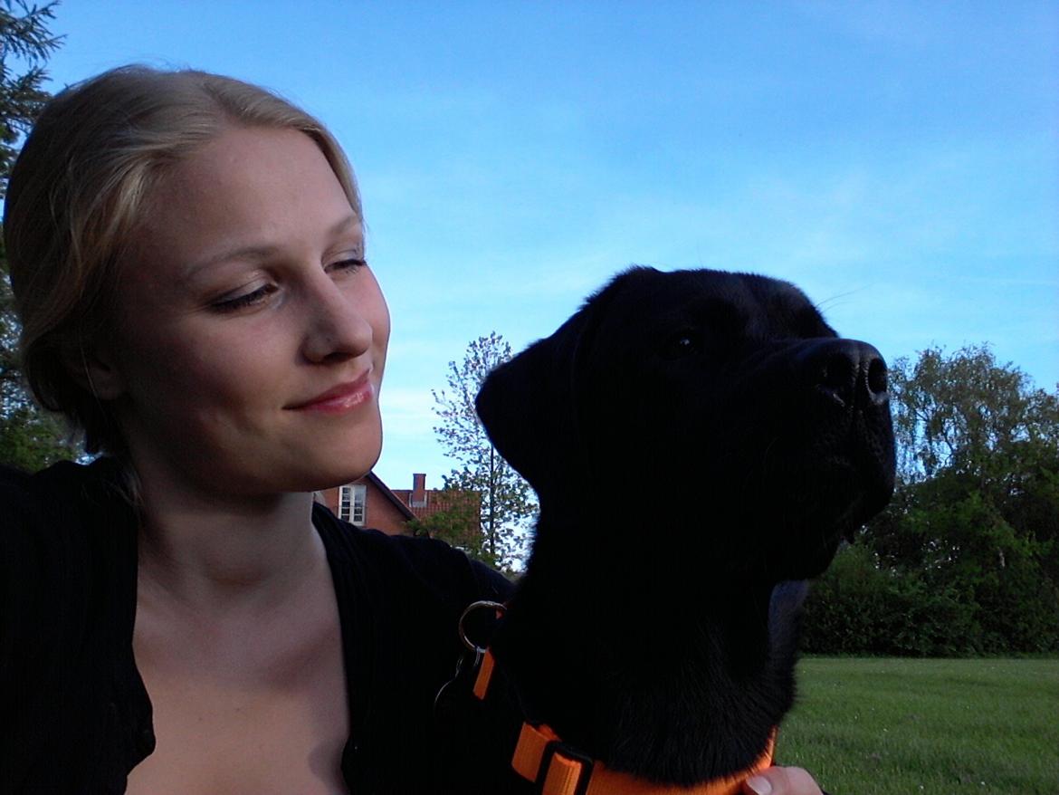 Labrador retriever Jajeem's Joey - Joey og jeg en sommerdag i Randers billede 8