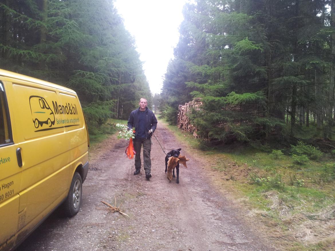 Labrador retriever Jajeem's Joey - Efter at have kæmpet sig hårdt igennem 20 timers prøven billede 11