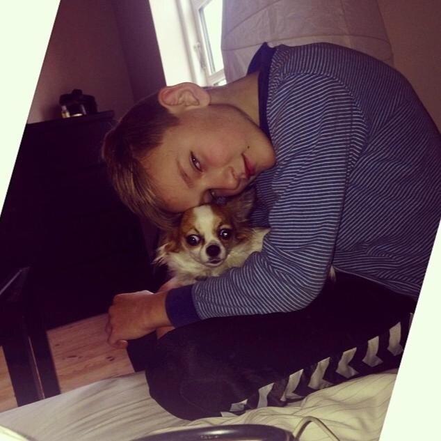 Chihuahua Diva ( R.I.P ) dødede 1,5 år billede 6