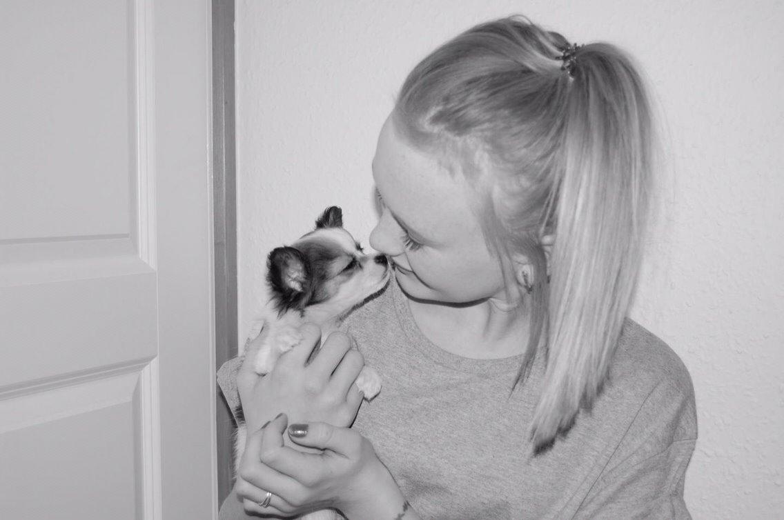Chihuahua Diva ( R.I.P ) dødede 1,5 år billede 9
