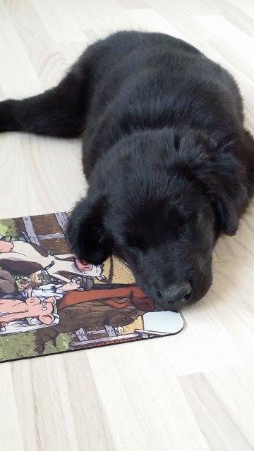 Blanding af racer Veto billede 5