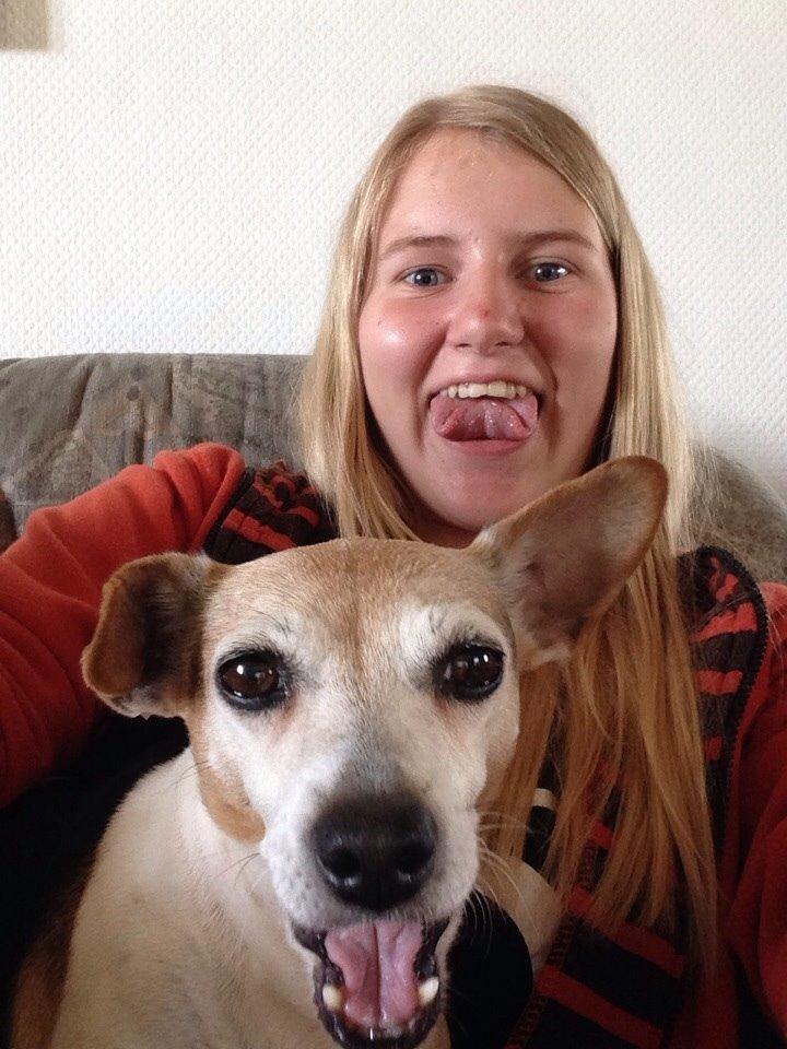 Jack russell terrier Jackie - Selfie :) billede 29