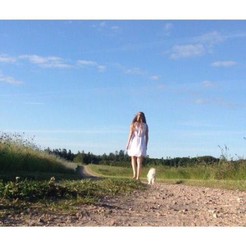 Coton de tulear Balou billede 7