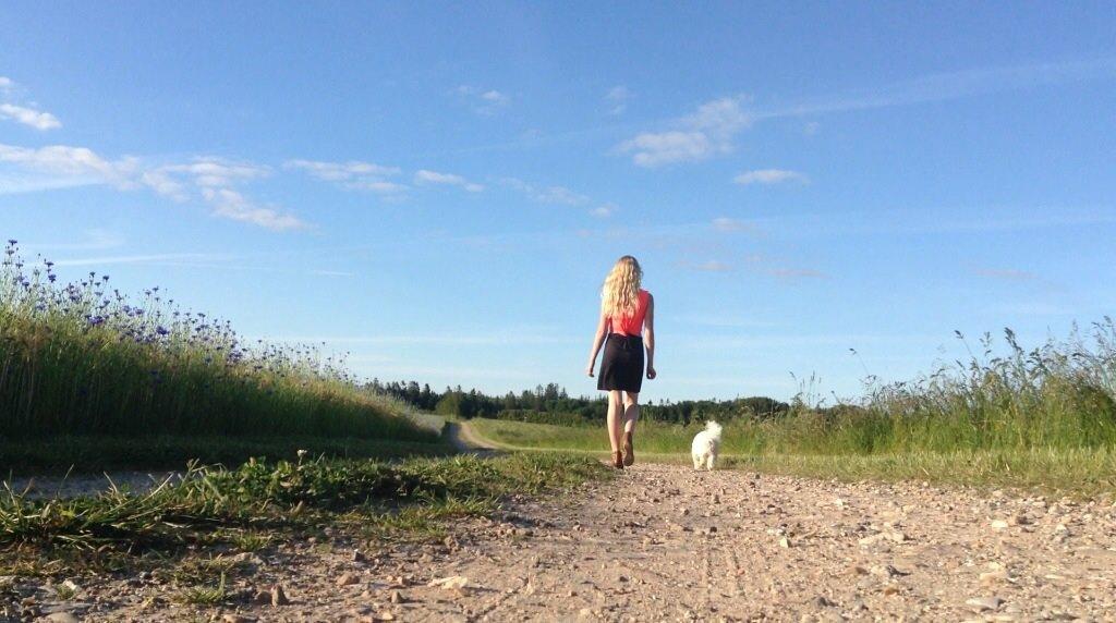 Coton de tulear Balou billede 10