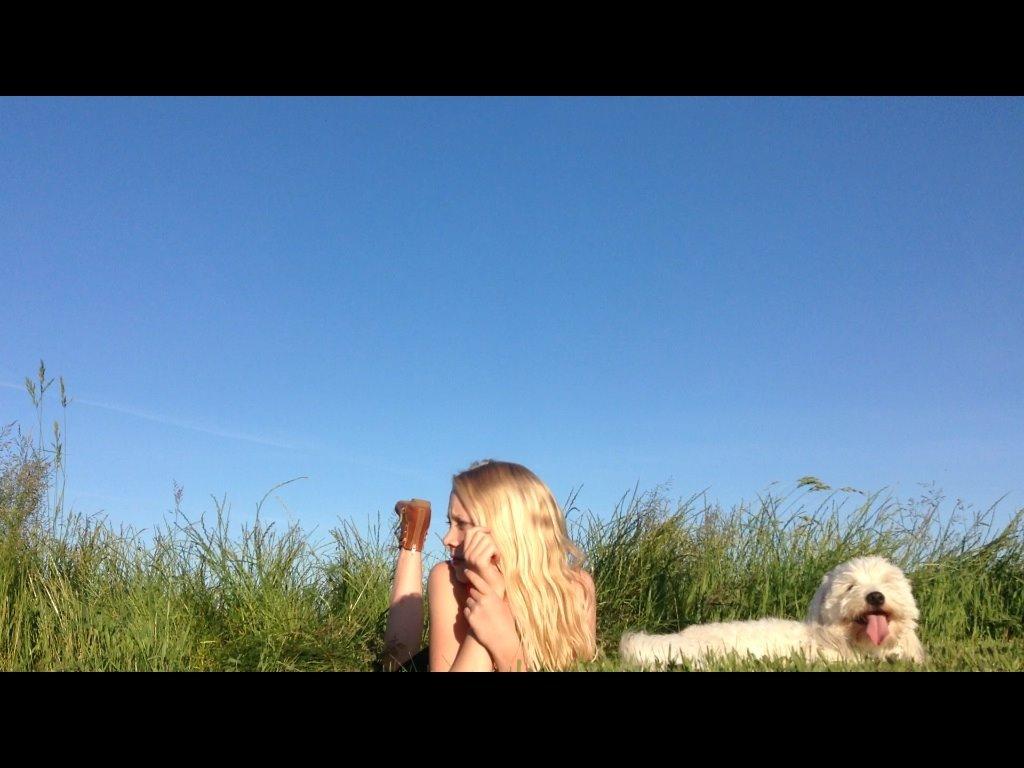 Coton de tulear Balou billede 11