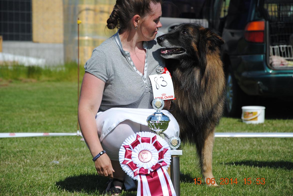 Tervueren Atak - er det godt nok? billede 4