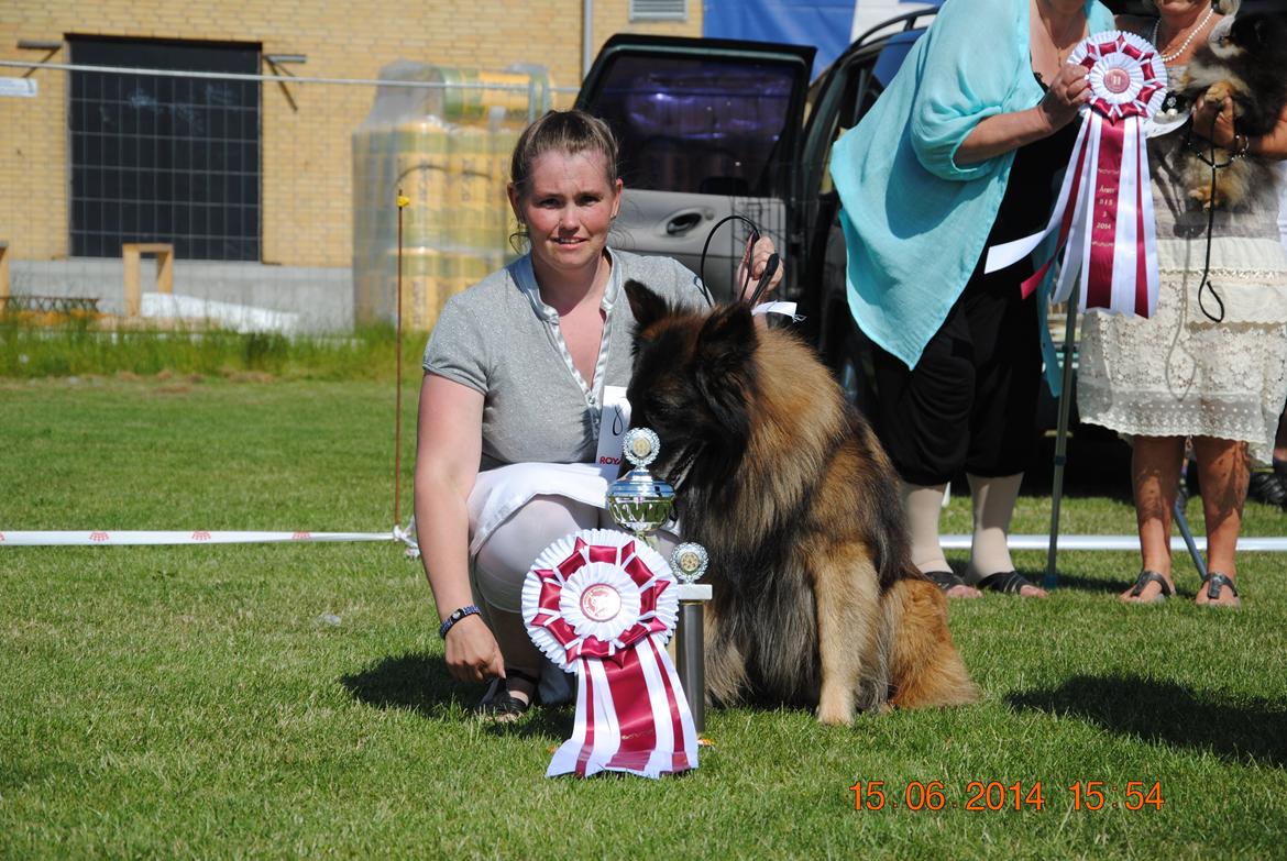 Tervueren Atak billede 5