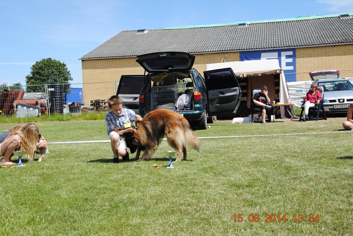 Tervueren Atak - Kim og jeg kan også god når vi er af sted billede 3
