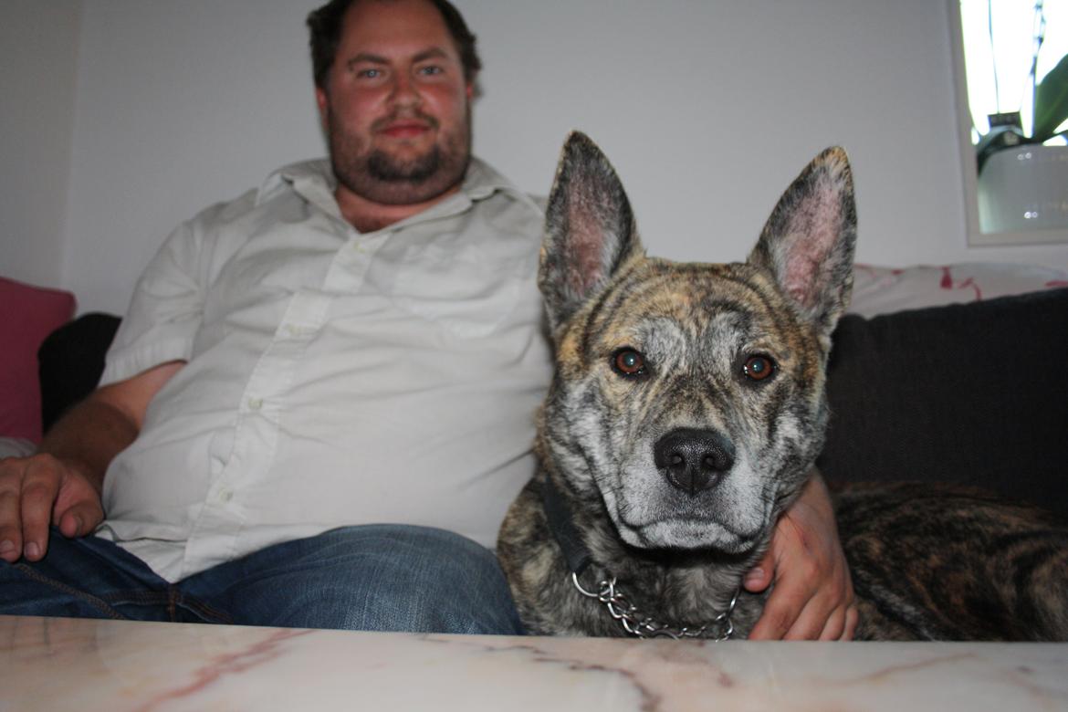 Blanding af racer Kasper - hos min mor +mig billede 12