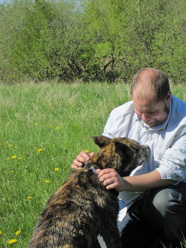 Blanding af racer Kasper - fars dreng billede 30