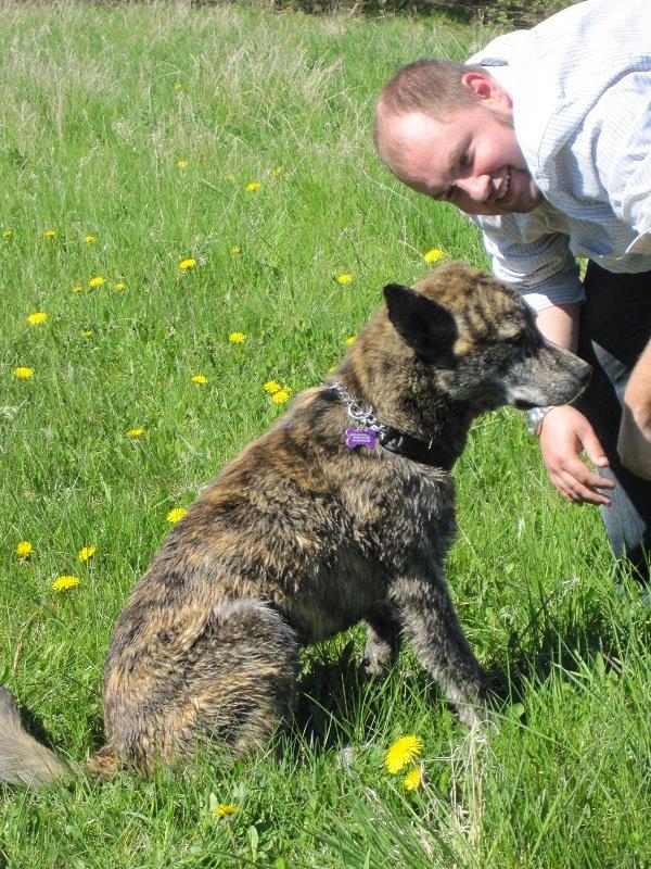 Blanding af racer Kasper - fars dreng billede 29