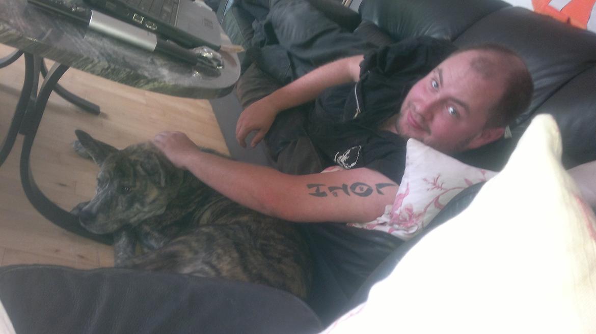 Blanding af racer Kasper - lige da jeg havde fået ham billede 26