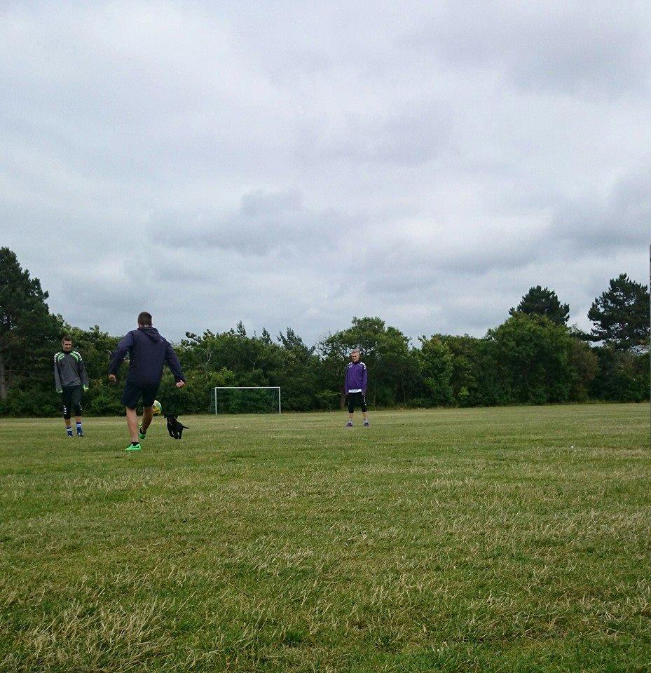 Labrador retriever Tyson SOLGT D. 6/11 - 2014  - Tyson elsker fodbold <3 billede 17