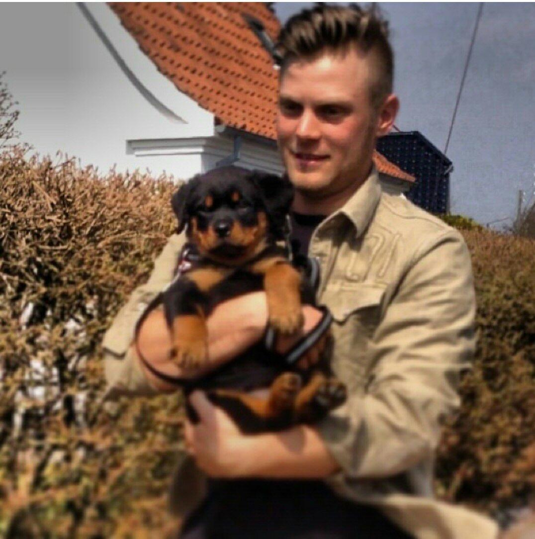 Rottweiler Rosie billede 6