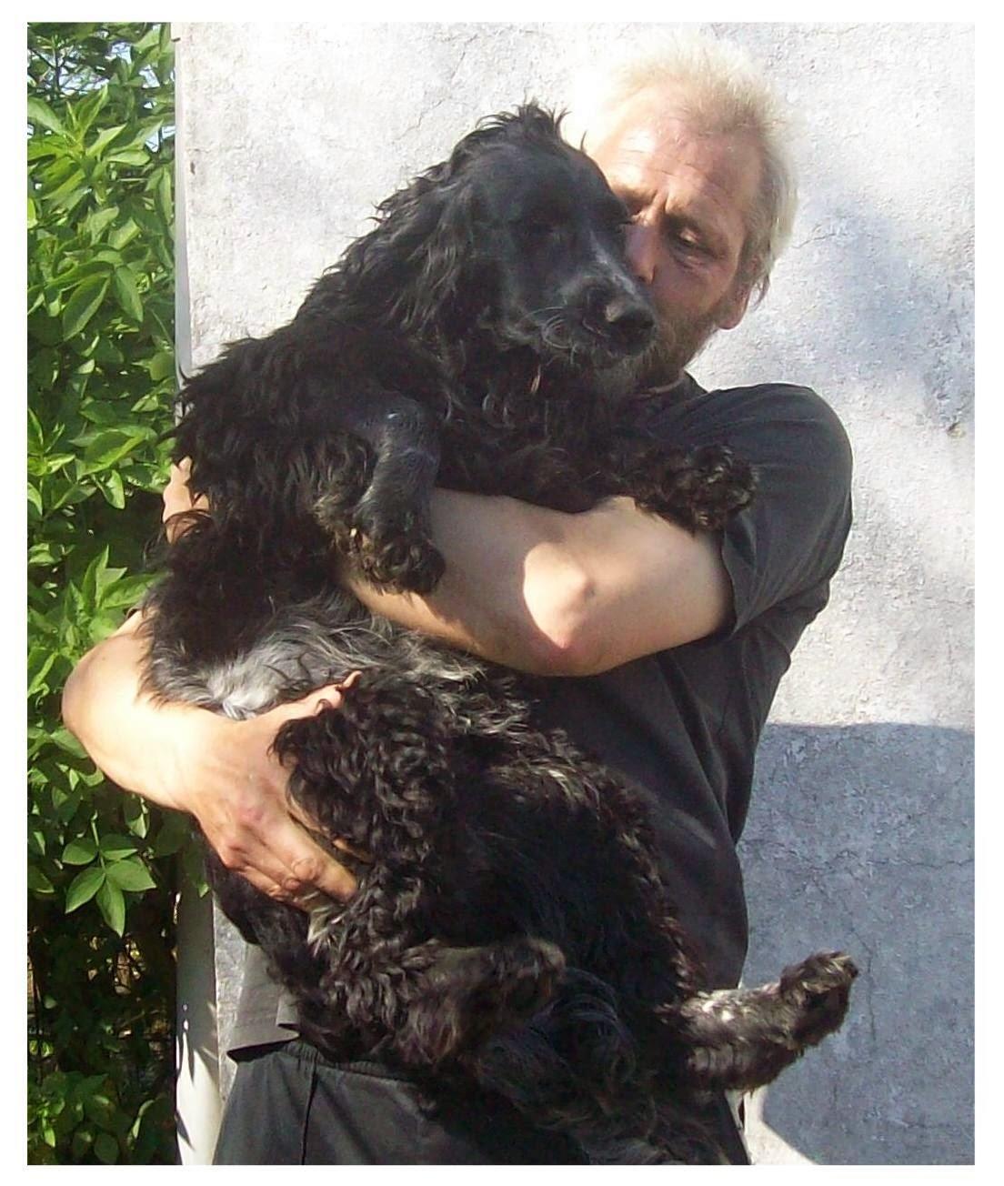 Cocker spaniel Tanja - Tanja og hendes far:O) billede 2