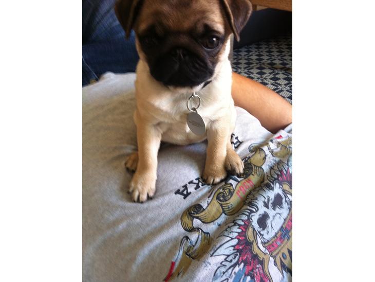 {{currentPhoto.altText}} billede {{currentPhoto.number}}