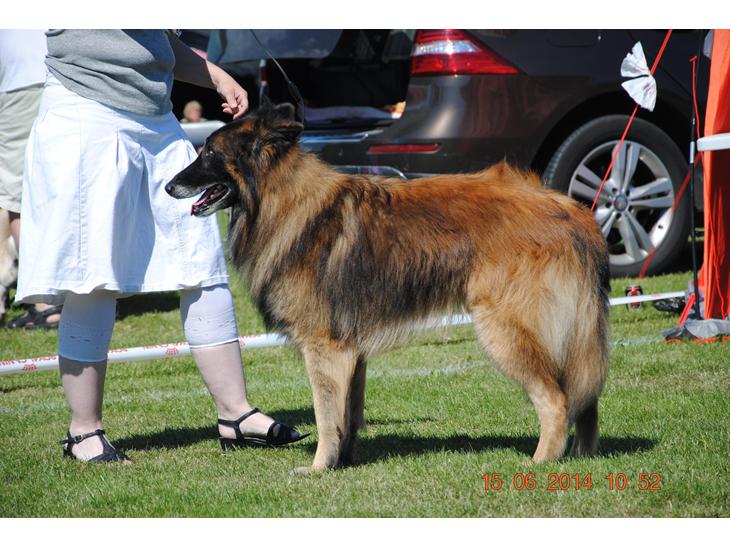 {{currentPhoto.altText}} billede {{currentPhoto.number}}