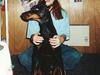 Dobermann Kildelunds Boheme R.I.P. [ Himmelhund]