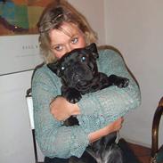 Fransk bulldog Magda