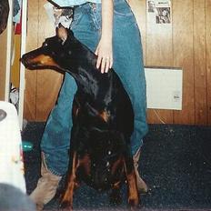 Dobermann Kildelunds Boheme R.I.P.