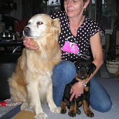 Blanding af racer Max *død*