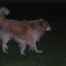 Blanding af racer Max *død*