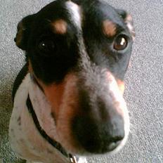 Blanding af racer victor/ viggo