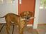 Rhodesian ridgeback Djambo - Seee... mit flotte kødben...Det er kun  117 gang jeg viser det