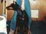 Dobermann Kildelunds Boheme R.I.P. - Boheme vil gerne ud og lege ;o)