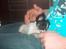 Chihuahua Tjalfe R.I.P Juni 2011 - Onkel Christians fingre,,,,,,,,,HAPS........Haps...haps...