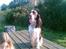 Engelsk springer spaniel kvik
