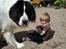 Landseer Sebastian vom Heidenberg - Landseeren Sebastian vom Heidenberg, kaldet Kiko