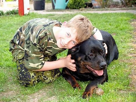 Rottweiler Freja (2011) - Lillebror Morten og Freja hygger  billede 11