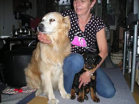 Blanding af racer Max *død* - Max med min anden hund Fenja og min mor billede 2