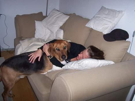 Blanding af racer Ludvig - Her bliver jeg passet hjemme hos min mormor - jeg får en ordentlig krammer af moster... billede 12