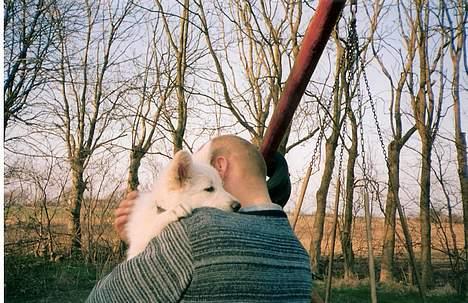 Hvid schæfer Escha - Nåh far.. det skal nok gå.. Jeg skal nok trøste dig. billede 16