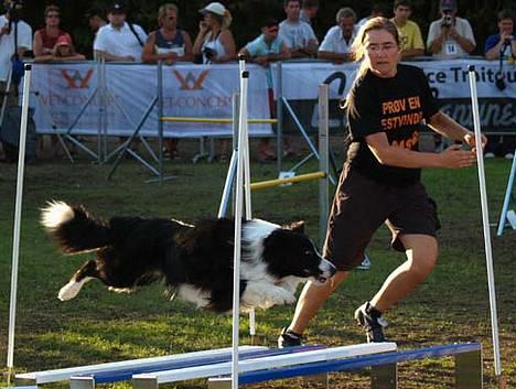 Border collie Tarco *himmelhund* - Tarco og jeg ved European Open i Luxembourgh 2006 billede 19