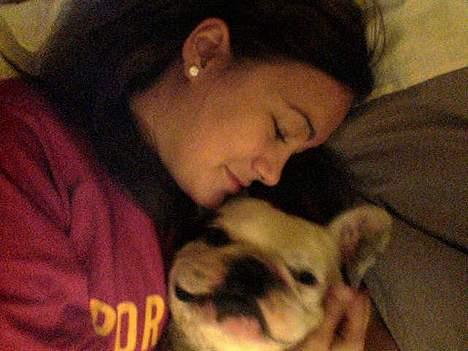 Fransk bulldog Butcho - Her ligger jeg og putter med moar Tanja... billede 5