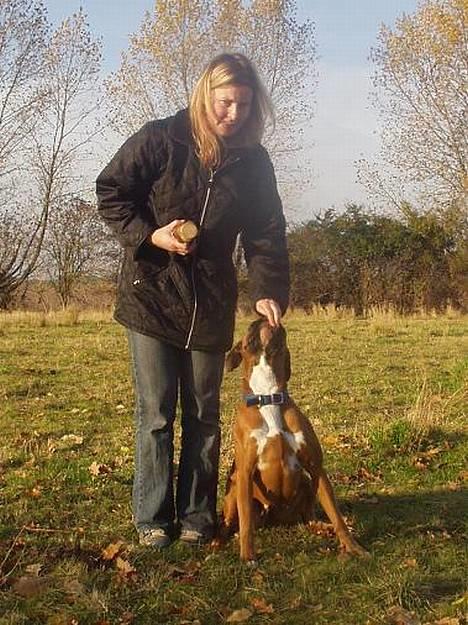 Boxer Mullet (Nandi AK LP1) - Træning - aflevering af apportbuk billede 14