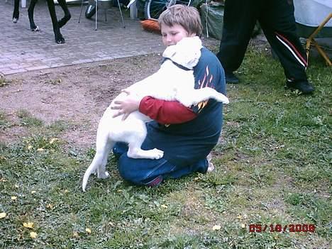 Hvid schæfer beauty - ja nu skal jeg lige overfalde ham ha ha  billede 5