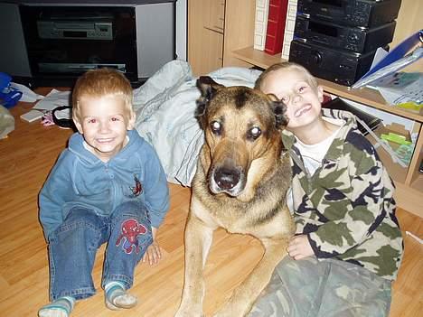 Blanding af racer Cody *DØD* - Lidt hygge er altid godt billede 4