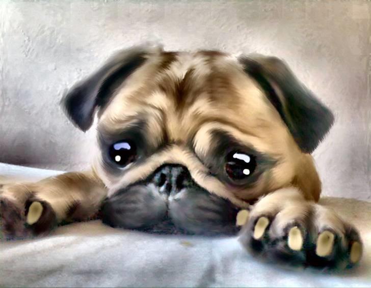 Mops Lajka - lavet af mormor.. hun er bare så dygtig billede 13