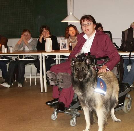 Tervueren Gabriella  billede 5
