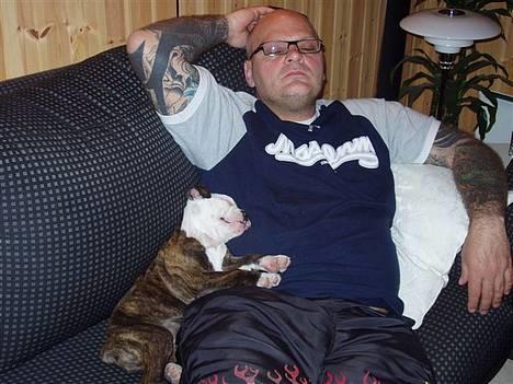 Olde english bulldogge østergaards missy - vi ligger lige og sover lidt. billede 8