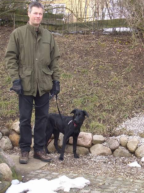 Labrador retriever Jægerlunden's Cheetah - far & cheetah.. Far & Cheetah går på jagt.. billede 14