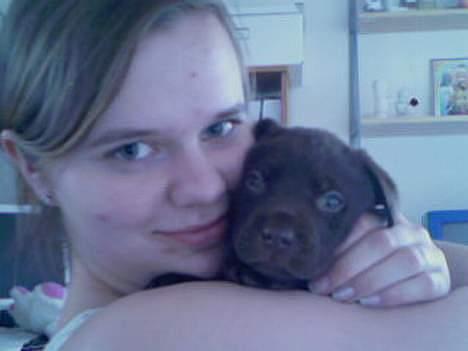 Labrador retriever Gizmo - Her er jeg, sammen med min mor! billede 14