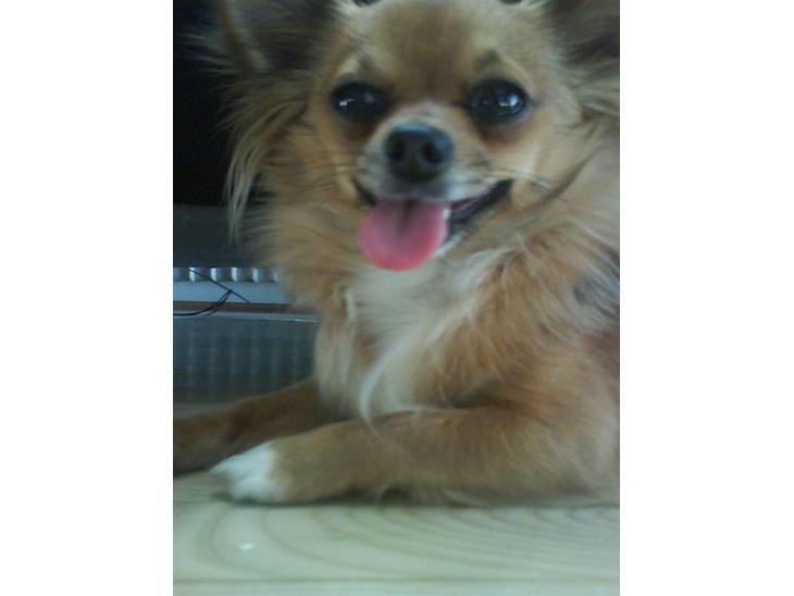 {{currentPhoto.altText}} billede {{currentPhoto.number}}