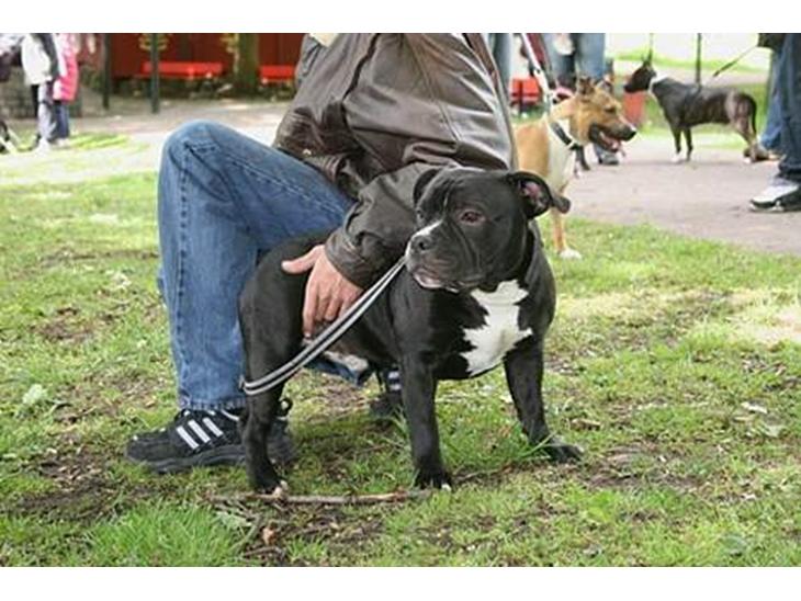 {{currentPhoto.altText}} billede {{currentPhoto.number}}