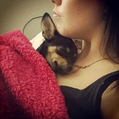 Blanding af racer Chanel